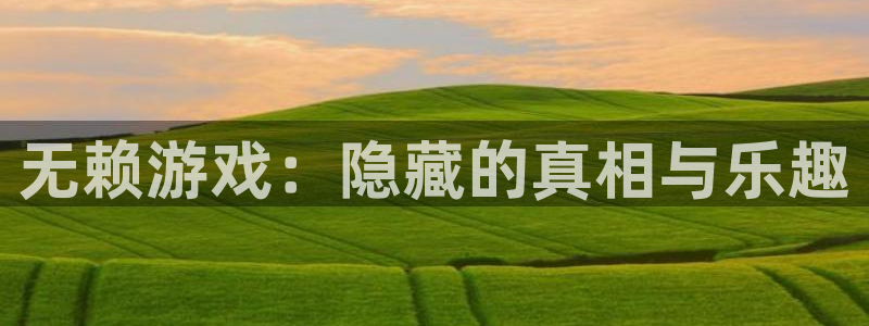 天美娱乐注册服务条款：无赖游戏：隐藏的真相与乐趣