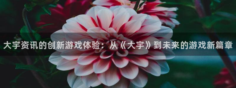 天美娱乐是什么：大宇资讯的创新游戏体验：从《大宇》到未来的游