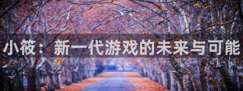 天美娱乐4招商：小筱：新一代游戏的未来与可能