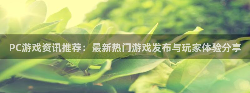 天美娱乐主管：PC游戏资讯推荐：最新热门游戏发布与玩家体验分