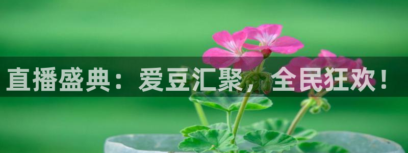 咪咕咪咕体育直播：直播盛典：爱豆汇聚，全民狂欢！