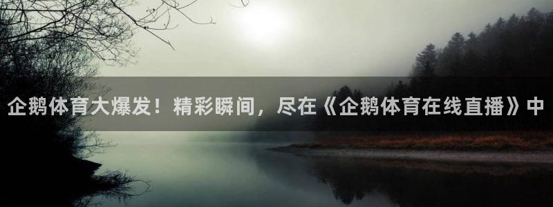 手机咪咕直播：企鹅体育大爆发！精彩瞬间，尽在《企鹅体育在线直播》中