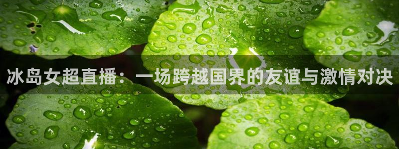 咪咕体育直播在线看：冰岛女超直播：一场跨越国界的友谊与激情对决