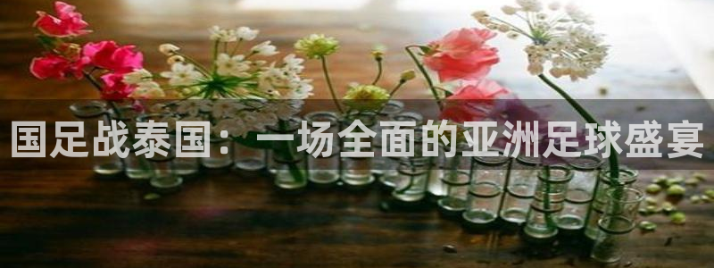 咪咕视频官站：国足战泰国：一场全面的亚洲足球盛宴