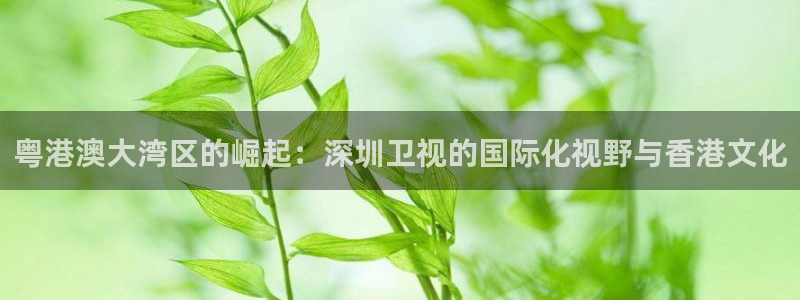 咪咕直播免费观看：粤港澳大湾区的崛起：深圳卫视的国际化视野与香港文化