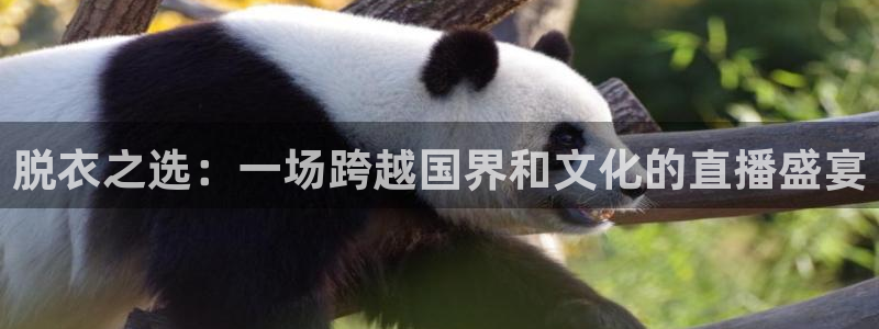 下载咪咕视频app下载安装：脱衣之选：一场跨越国界和文化的直播盛宴