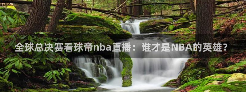 咪咕直播体育在线看