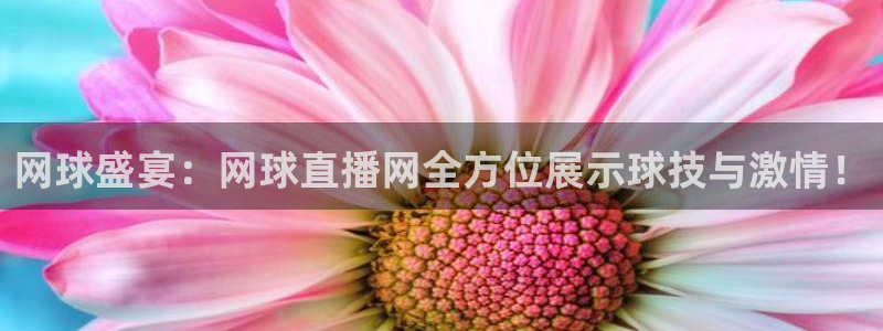 咪咕视频app下载：网球盛宴：网球直播网全方位展示球技与激情！
